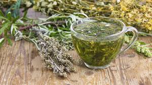 OPTIMIZATION OF ARTEMISIA TEA PILOT PLANT